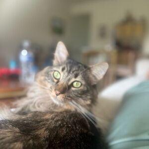 Meet your Posher, Lenka